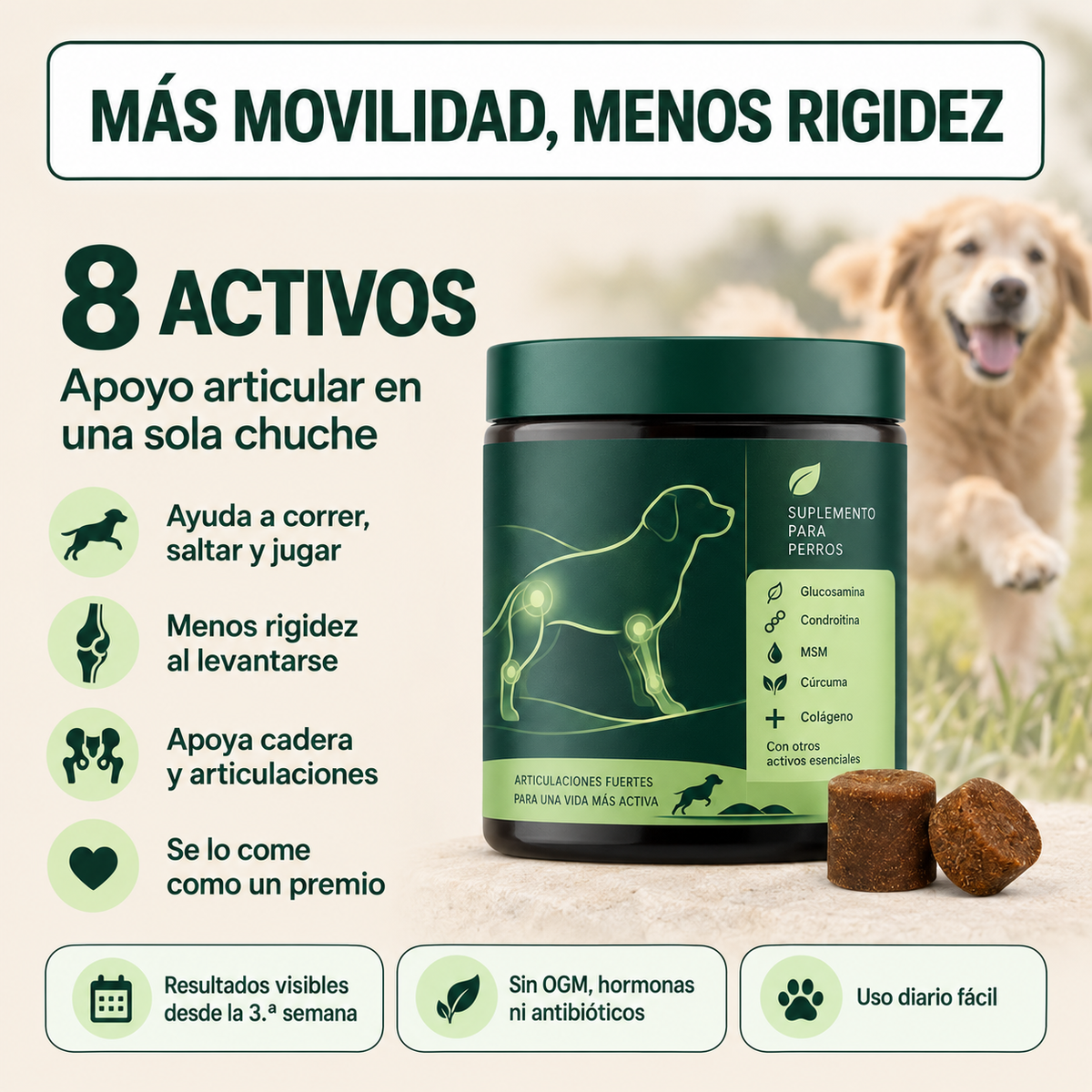 Devuelve movilidad y alegría diaria - Movipet